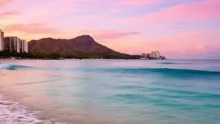 Reading Music   Peaceful Hawaiian Ukulele for Books & Relaxation