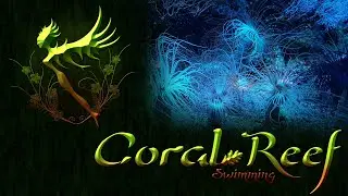 1 Hour Underwater Music (Fantasy Music) - Coral Reef Swimming