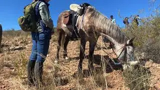 BAVIAANS CAMINO 2020 - DAY 2