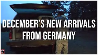 Elite K9s Have Arrived: Highly Trained Dogs Ready to Impress! | Kraftwerk K9 German Shepherds