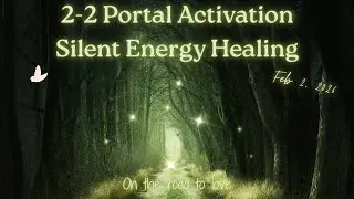 2-2 Portal Activation Silent Energy Healing - February 2, 2026