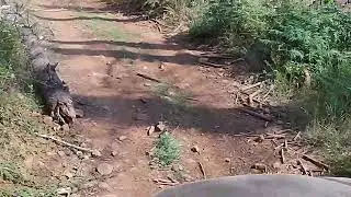 La Dee OHV 800 Trail Second Try