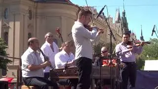 Červene źeľene - Juraj Stieranka 🎻 🔥 🎶 | Praha srdce národov 2017 |
