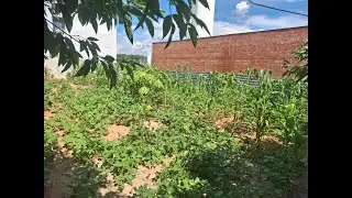 Terreno  7x25 PLANO -  Venda - R$ 138mil -  Bairro das Constela&ccedil;&otilde;es - Salto - SP