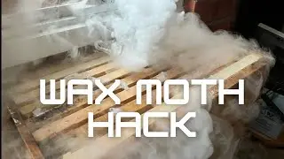 Treating Wax Moth With Dry Ice - Good or Bad Idea? - Aussie Bee Keeping - 20-5-22