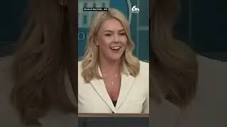 Karoline Leavitt addresses public feud between Elon Musk, Peter Navarro over Trump's tariff plans