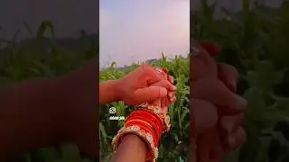 khoj lelo tor nihar jodi hazar m🤩🧿#youtubeshortsvideo #raniprakashvlogs