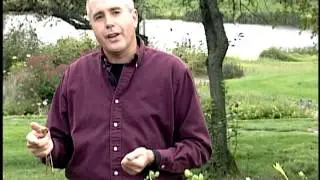 Virginia Farm Bureau - Mark Viette in the Garden - Preparing your next garden