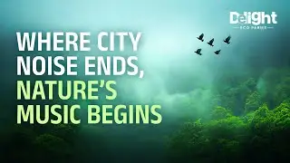 Where City Noise Ends, Nature&rsquo;s Music Begins 🌿✨ | Farmland Near Sakleshpur | Delight Eco Farms