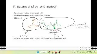 VID29 - IUPAC name of L Arginine