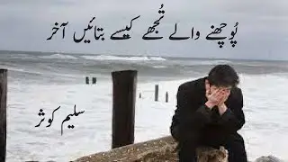 Poochne Wale Tujhe Kese Batayen Akhir | Saleem Kausar | 2 Line Best Poetry in Urdu | Shayri