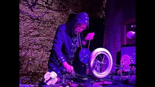 Aleponija live. Video collage.
