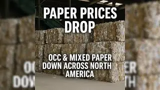 RECOVERED PAPER PRICES FALLING | AUG 2025 | #ScrapMonsterNews #ScrapMonster