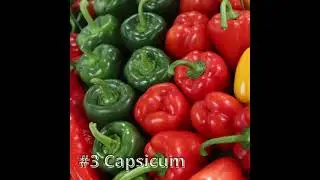 Top 10 Easy to grow vegetables for beginners