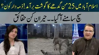 Food Authority Fails? Islamabad Exposed in Donkey Meat Scandal | Hum News