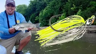 BEST Googan Squad Lure to Catch HYBRID Bass!