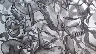 Juxtaposition in black/Nevets Design/Watercolors/NHM/Studio/Biological/Scientific Illustration