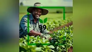 Effective farm management practices is a must for better outcome. #farmingpractices #farmmanagement