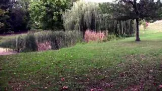 Parks and Open Spaces