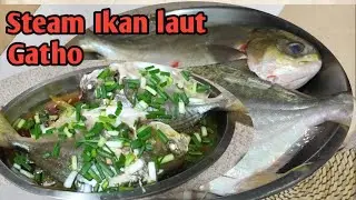 Cara Masak || Steam Ikan Laut Gatho Mudah Dan simple