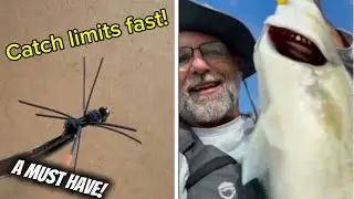 The Only Jig You Need to Catch Live Bait | Fishin Not Workin