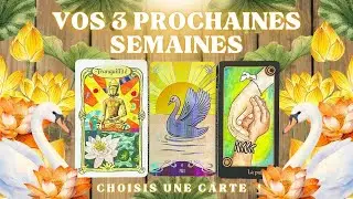 🎀 VOS TROIS PROCHAINES SEMAINES 🪄TROIS CHOIX 💍 INTEMPOREL 🎁