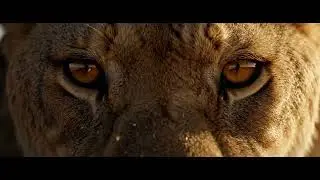 The eyes of a predator