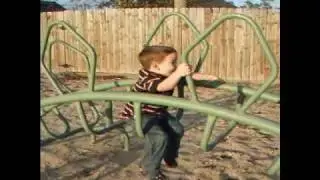 A Day at the Park