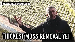 The Mossiest Removal Yet! | Steam Cleaning A Large Property Surrounded By Trees