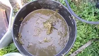 Storing Compost Tea For Gardening From Barrel To Plastic Bottle Storage