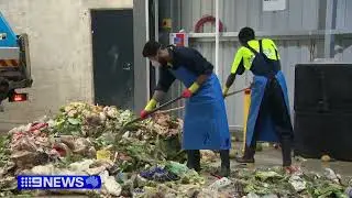 Goterra | Maggots to make a big difference to Sydney's food waste problem ｜ 9 News Australia