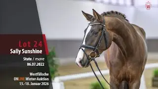 ONLINE Winter-Auktion 2026 Lot 24 Sally Sunshine Stute v. Selectric - Flamur