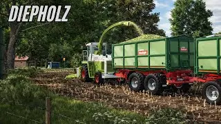 Das Häckseln kann BEGINNEN!🚜Die Kühe müssen Umziehen | DIEPHOLZ #12 | LS25 Gameplay