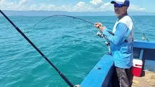 Alto Mar. Cardume de peixe espada!