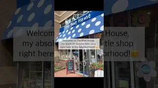 My Favorite Local Gift Shop 🛍️ | The Blue House Tour in Bethesda #giftshop #shop #maryland #shorts