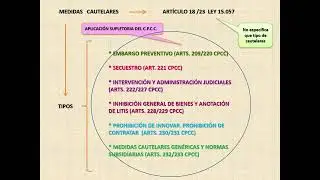 ART&Iacute;CULOS 17 AL 23 LEY 15.057