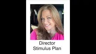 DIRECTOR - Business Stimulus Plan