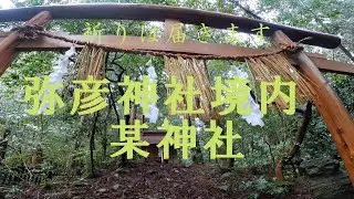 生命の源　古代からの神　某神社