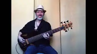Britney Spears - Toxic (Bass Cover)