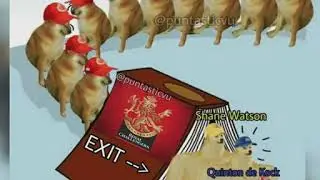 RCB vs DC match memes || collection of memes
