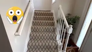 Daily grind, awful pattern Carpet