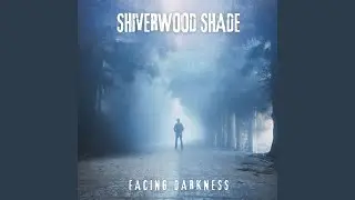Facing Darkness