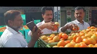 Export Quality Tomato Loading | Direct Farmer Supply | Karnataka Kolar Mandi 🚜