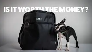 Sleepypod Go Bag Review: $79.99 Dog Travel Bag Worth It? | Rover