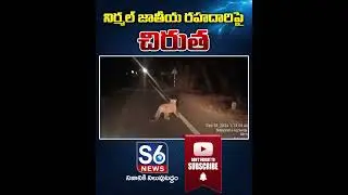 నిర్మల్ జాతీయ రహదారిపై చిరుత .. | Chirutha Hulchul on Nirmal Highway Road | S6 News