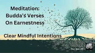 Meditation on Buddha's verses On Earnestness develop clear, mindful Intentions - goals habits