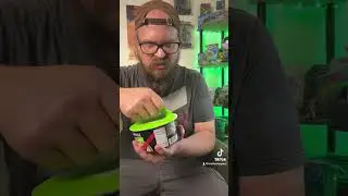 Snap Dragons Instant Vietnamese Pho food review!