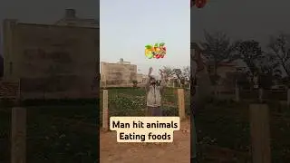 Man hit animals and Eating Foods #funny #shorts #trending #youtubeshorts #viralvideo #shortvideo
