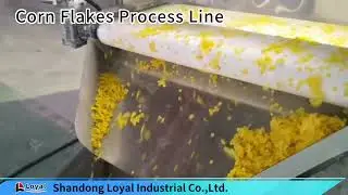 Milk Companion Breakfast Cereal Production Line Corn Flakes Extruder Machinery