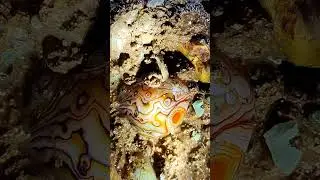 Full video on homepage#gems  #agate#crystal#gold#Gems#diamonds#gold mines#emeralds #pearl